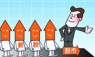 華陽集團(tuán)(002906)新股申購中簽率解析與中簽號碼查詢指南